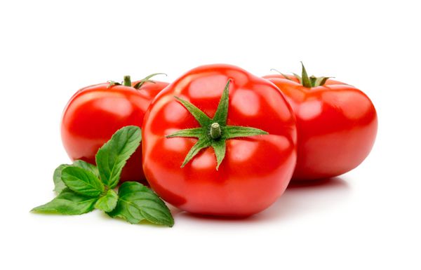 گوجه فرنگی تازه با جدایه ریحان