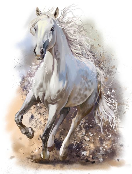 اسب سفید بر روی نقاشی آبرنگ اجرا می شود