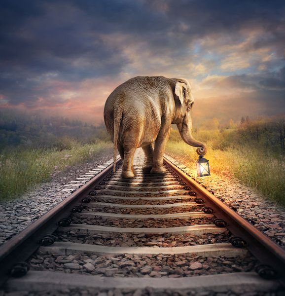 فیل با چراغ درخشان تصویر دیجیتال Surreal