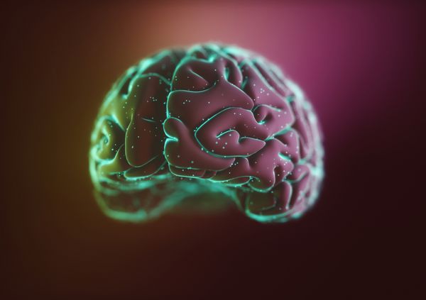 تصویر 3D تصویر تلطیف شده از یک مغز درون یک مایع با حباب های هوا