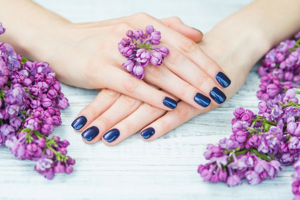 درمان زیبایی دست زنانه با مانیکور آبی تیره و گل های زیبا از شاخه های شفاف
