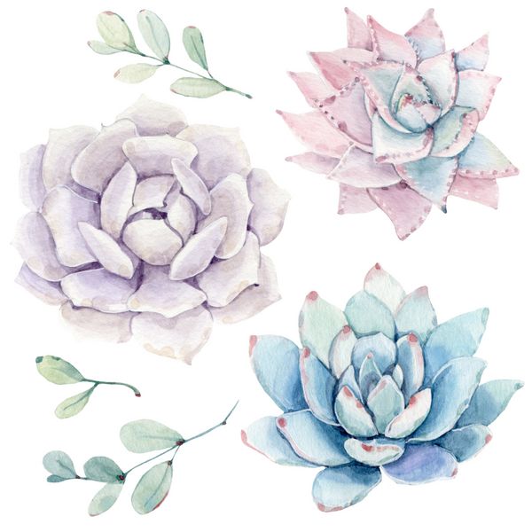 watercolor flowers set It