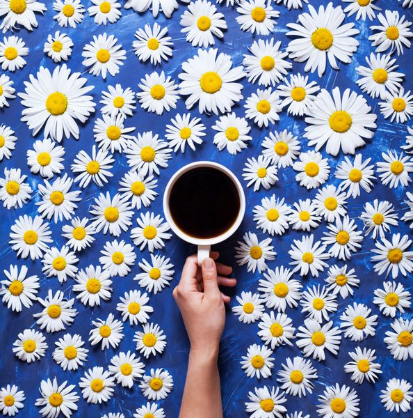 Floral summer background A mug of coffee in a woman