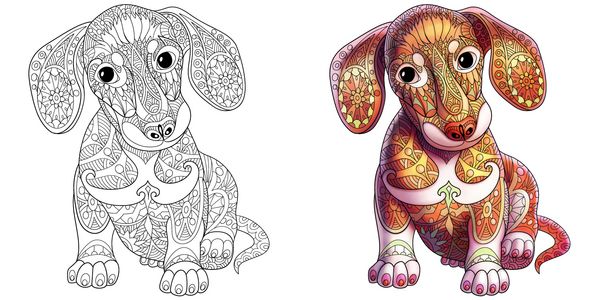 صفحه کتاب رنگ آمیزی سگ توله سگ dachshund نمونه های تک رنگ و رنگی طرح نقاشی Freehand برای رنگ آمیزی ضد استرس بزرگسالان با عناصر Doodle و Zentangle