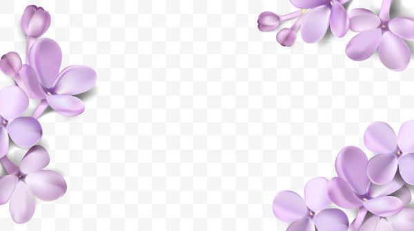 تصویر 3D رنگ پاستا گل رنگی در پس زمینه بنفش بنفش گل ساحر و گلبرگ قالب آبرنگ سبک قالب برداری با محل برای متن