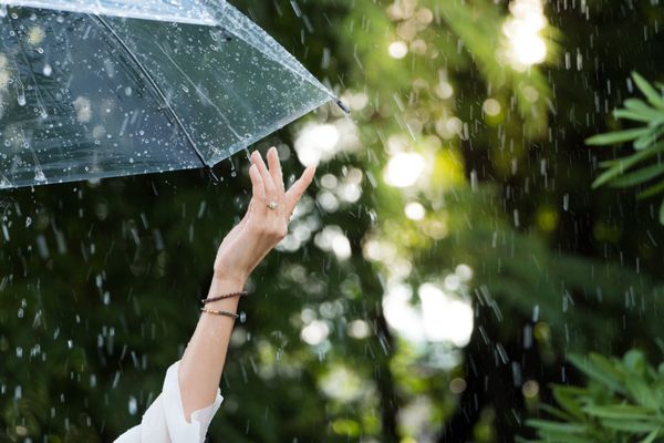 یک دست از یک زن تحت یک چتر شفاف که باعث بالا رفتن لمس و احساس تازه شدن باران می شود و احساسات خود را از دست می دهد؛ بر روی تخیل شما مفهوم احساسی