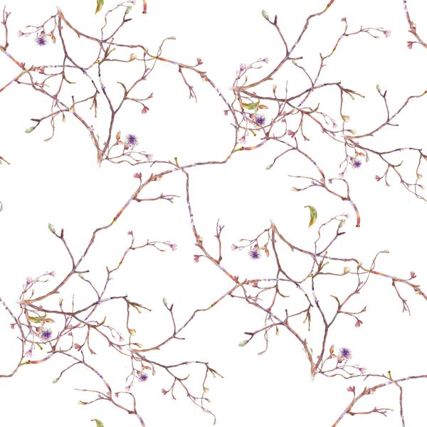 نقاشی آبرنگ برگ و گل الگوی بدون درز در زمینه سفید