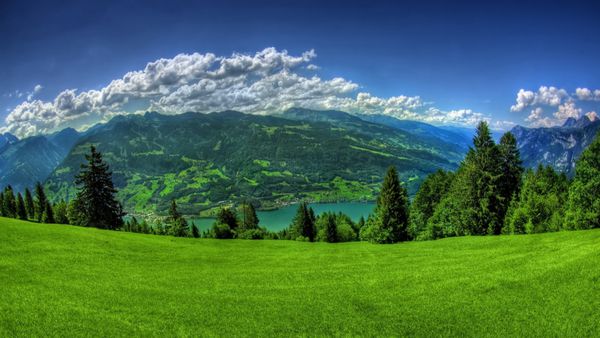 سبز چمن کوه ها شیب درختان دریاچه ابرها آسمان آبی درختان مخروط
