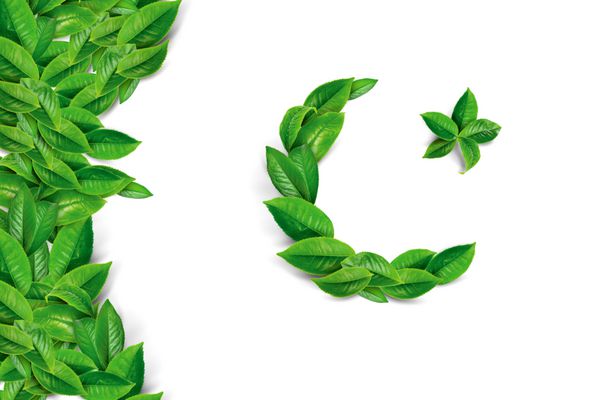 روز پاکستان و روز استقلال مبارک پرچم سبز چای با طراحی ستاره و ماه طراحی شده است