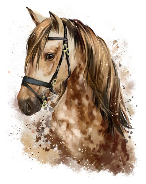 نقاشی آبرنگ سر اسب