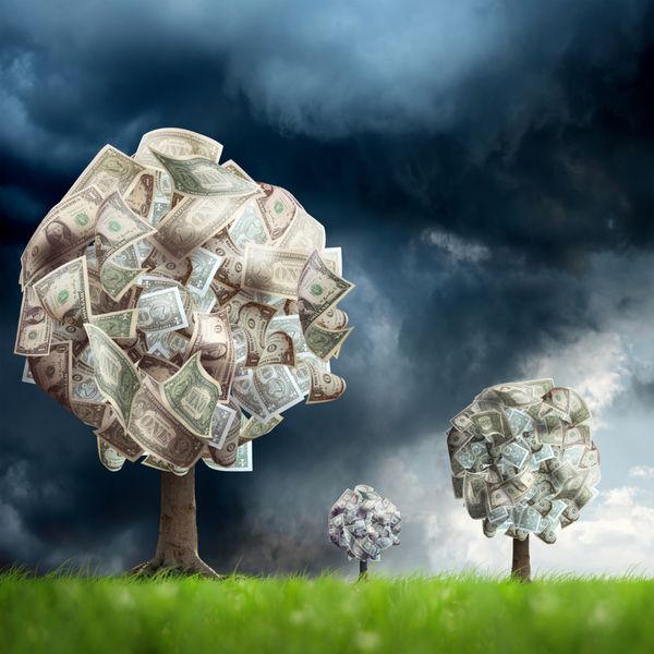 تصویر مفهومی درخت پول در چشم انداز سبز