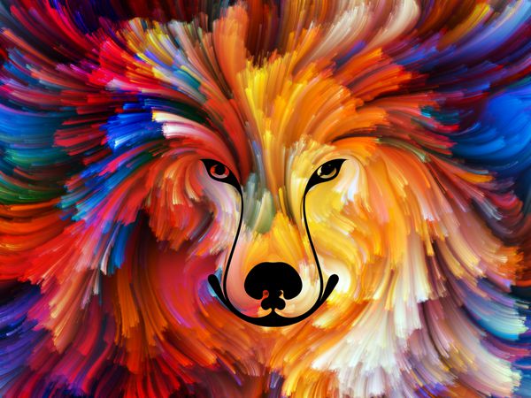 سری رنگ سگ طراحی سابقه پرتره سگ رنگارنگ در مورد هنر تخیل و خلاقیت