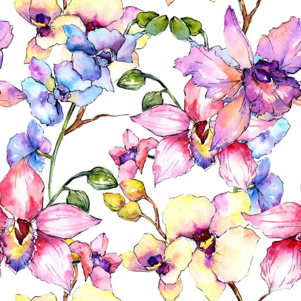گل گل ارکیده گل و گل گل در سبک آبرنگ نام کامل گیاه ارکیده رنگارنگ Aquarelle گل وحشی برای پس زمینه بافت الگوی بسته بندی شده قاب یا مرز