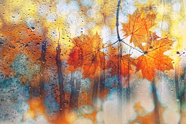برگ های پاییزی برای شیشه های بارانی مفهوم فصل پاییز پس زمینه تار انتزاعی مبهم تمرکز نرم