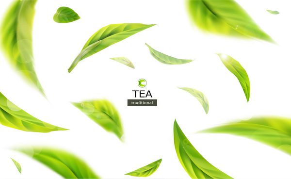 تصویر برداری 3D با چای سبز برگ در حال حرکت بر روی زمینه سفید عناصر طراحی تبلیغات بسته بندی محصولات چای