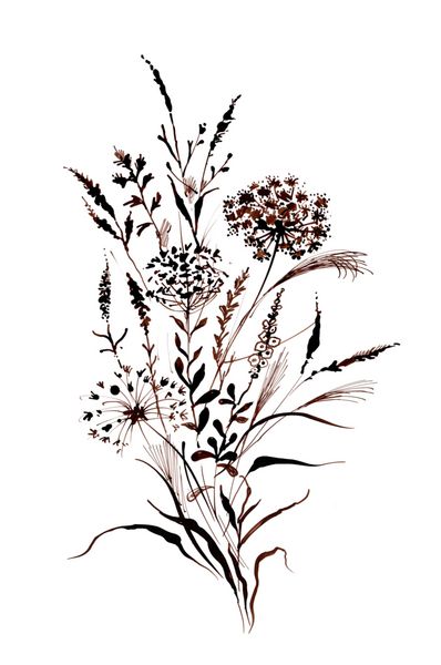 نقاشی دست کشیده شده با گیاهان زینتی در زمینه سفید
