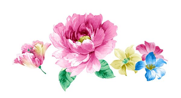 گل های طعم دار در تمام طول سال برگ و گل طراحی هنری
