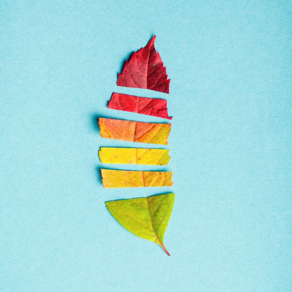 طرح خلاقانه از برگ های پاییز رنگارنگ مفهوم فصل گرادیان سایه های گرم سقوط با بخشی از برگ