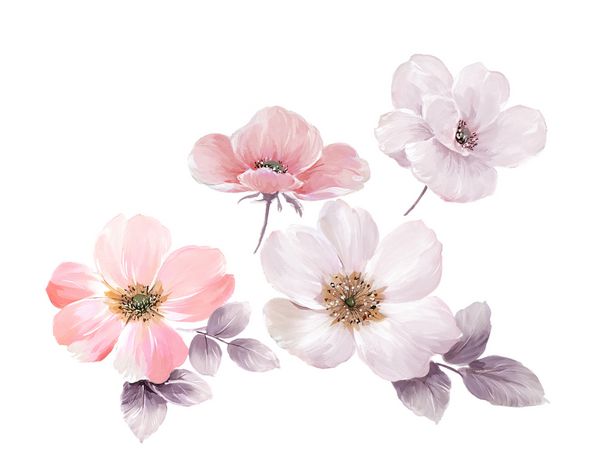 گل گل برگ و گل طراحی هنری