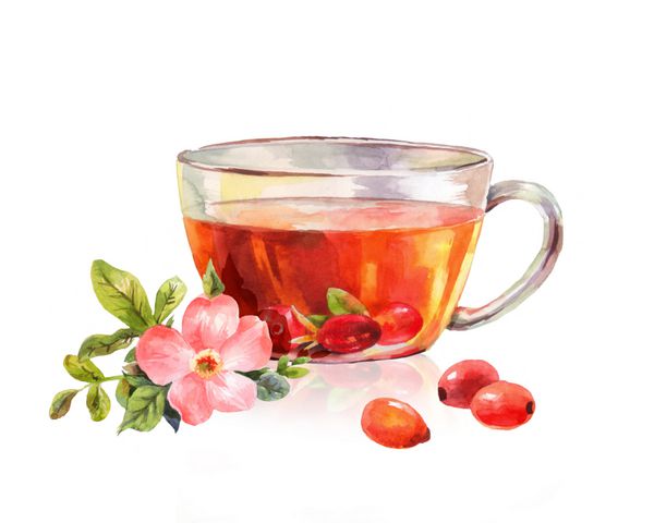 شیشه چای گیاهی چای سبز را بنوشید طراحی آبرنگ زیبا طعم چای تصویر برداری بر روی سفید