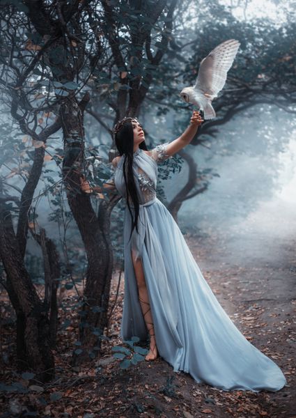 جادوگر اسرارآمیز در لباس آبی زیبا پس زمینه یک جنگل سرد در مه است دختر با یک جغد سفید عکاسی هنری