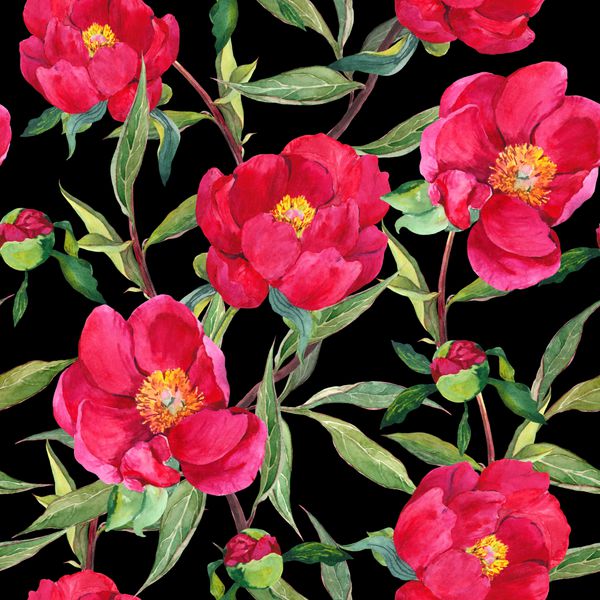 گل ساقه گل قرمز الگوی گل بدون درز در پس زمینه سیاه و سفید آبرنگ