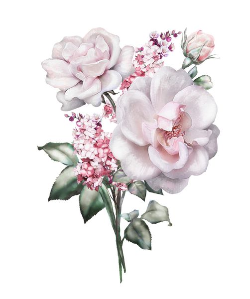 گل های آبرنگ تصویر گل برگ و جوانه گیاه شناسی دسته گل عروسی و یا کارت تبریک شاخه گل گل رز جدا شده بر روی زمینه سفید
