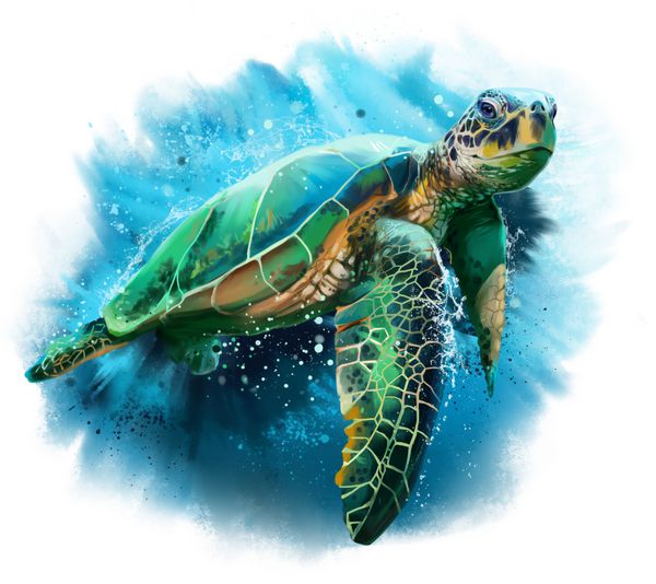 نقاشی آبرنگ لاکپشت بزرگ دریا