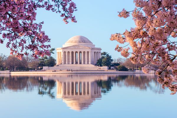 صعود به خورشید یادبود جلفا و حوضه جزر و مدی را روشن می کند شکوفه های گیلاس صورتی صورتی بر روی بنای یادبود در واشنگتن دی سی در فستیوال شکوفه های گیلاس سالاری می کند