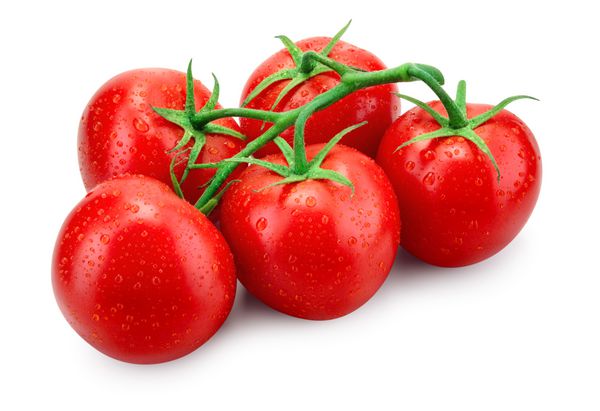 گوجه فرنگی گوجه فرنگی با قطره شاخه گوجه فرنگی جدا شده بر روی سفید با مسیر قطع