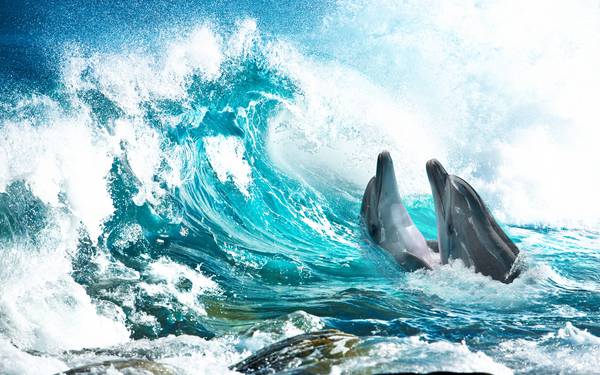 پوستر دیواری سه بعدی دلفین ها میان امواج دریا