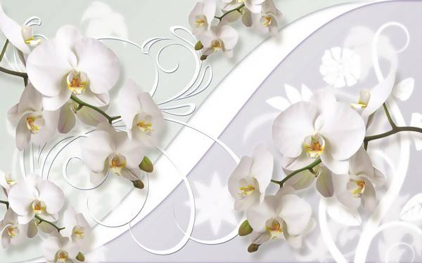 پوستر دیواری سه بعدی گل های هلندی سفید در پس زمینه طرح دار