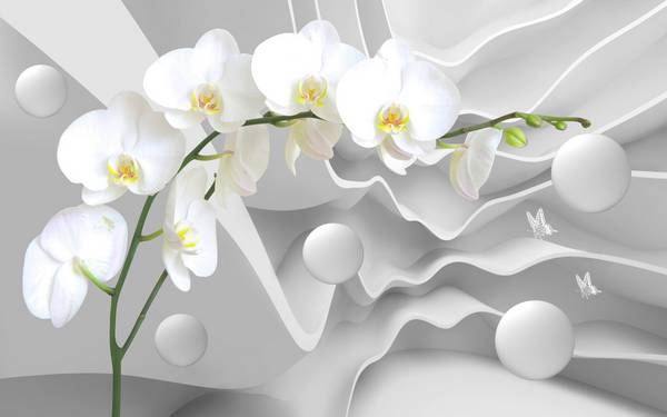 پوستر دیواری سه بعدی گل های سفید با پس زمینه راه راه سفید