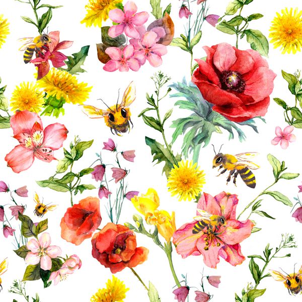 زنبور عسل گل های علفزار گیاهان تابستانی گیاهان تکرار الگو تابستان آبرنگ