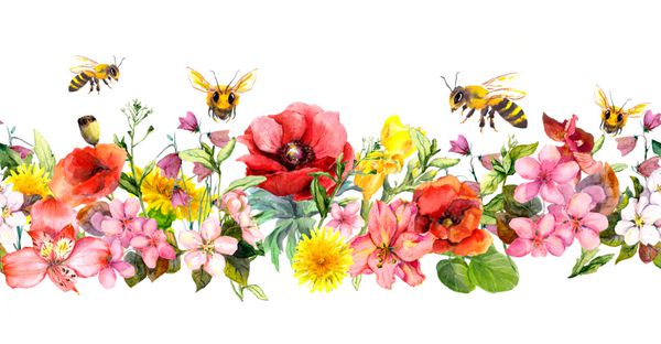 زنبورها گل های علفزار گیاهان تابستانی برگ های وحشی تکرار مرز افقی گل آبرنگ