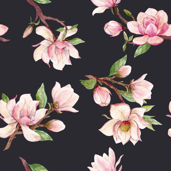 الگوی آبپوش یک شاخه با گل گل صورتی Magnolia گل کارت بهار پس زمینه تاریک