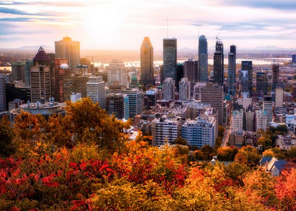 طلوع Montreal با برگ های رنگی