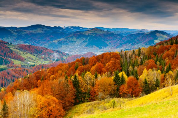 چشم انداز پاییزی کوه با جنگل های رنگارنگ