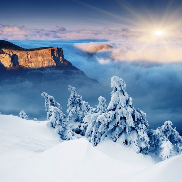 چشم انداز زمستانی زیبا با درختان برف پوشیده شده است