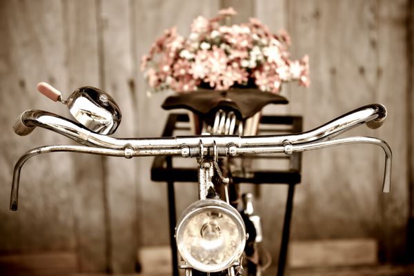 دوچرخه و گل های قدیمی