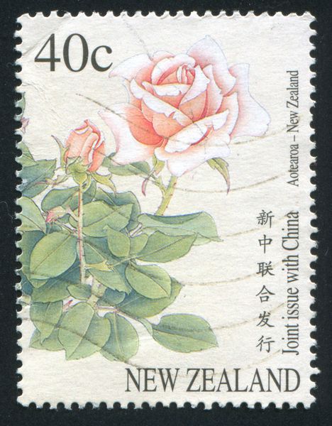 NEW ZEALAND CIRCA 1997 تمبر چاپ شده توسط نیوزیلند نشان می دهد گل رز حدود 1997