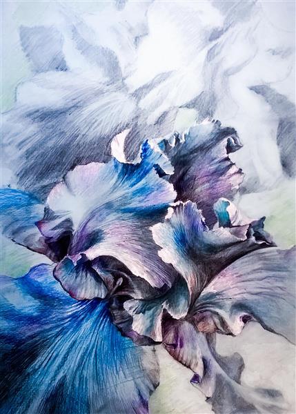 گل های زیبای آبی و بنفش