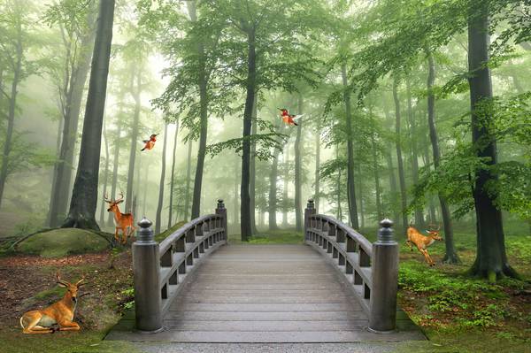 پوستر دیواری سه بعدی پل پوبی گذرا از جنگل با درختانی بلند