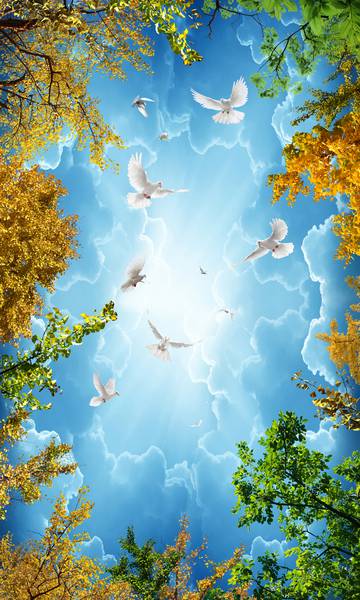 پوستر دیواری سه بعدی آسمان مجازی  درختان و پرندگان