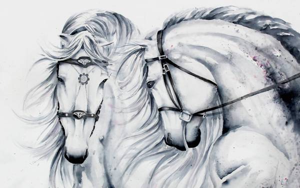 پوستر دیواری سه بعدی نقاشی دو اسب