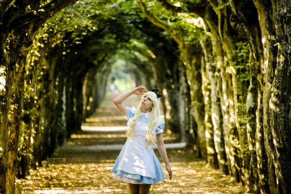 آلیس در سرزمین عجایب در میان راهرو جنگلی