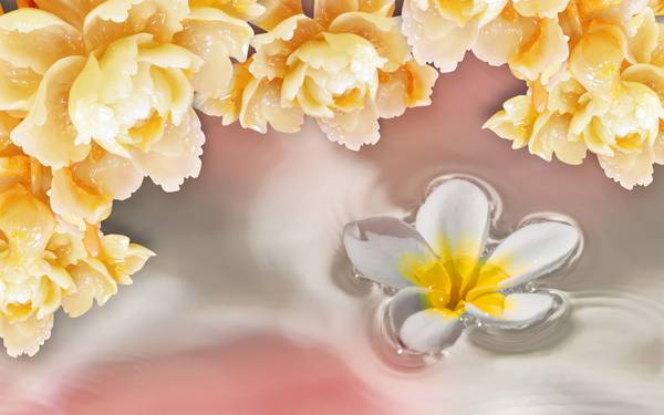 پوستر دیواری سه بعدی گل سفید و گل های زرد در آب