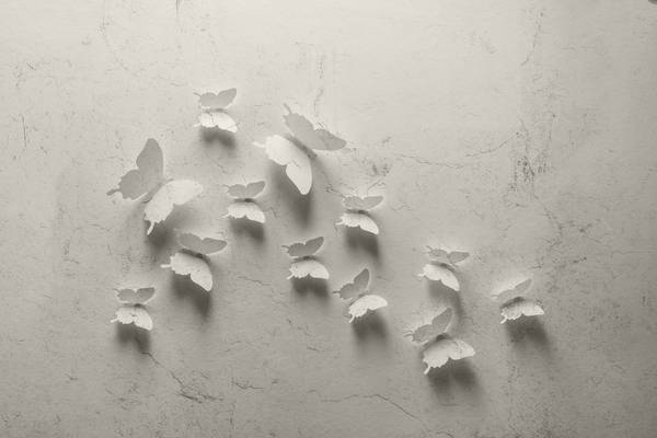 پوستر دیواری سه بعدی پروانه های سفید فانتزی