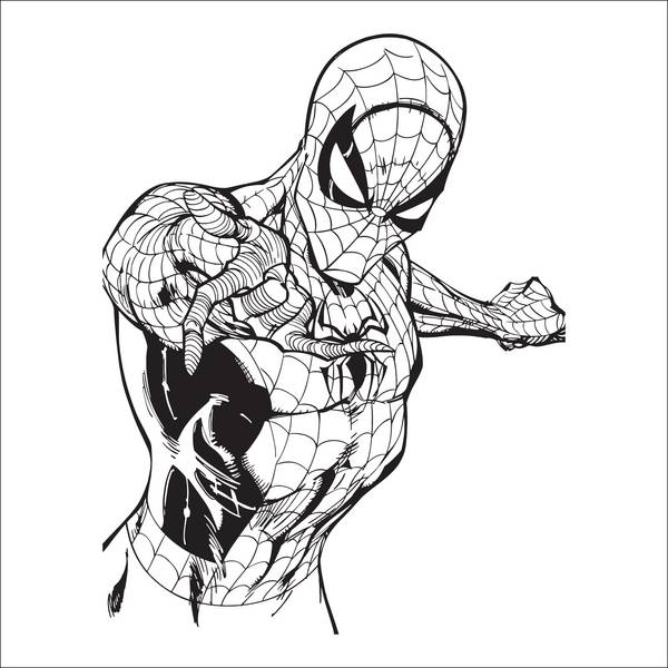 مرد عنکبوتی سیاه و سفید در حال تار زدن