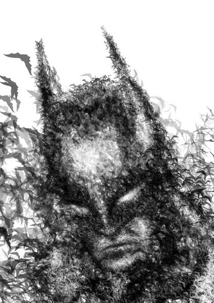 چهره بتمن ساخته شده از خفاش ها